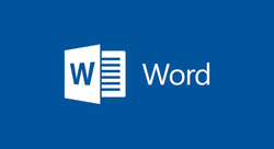 Microsoft Word (2007)