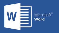 Microsoft Word (2010)